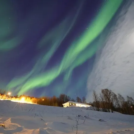 Northern Lights