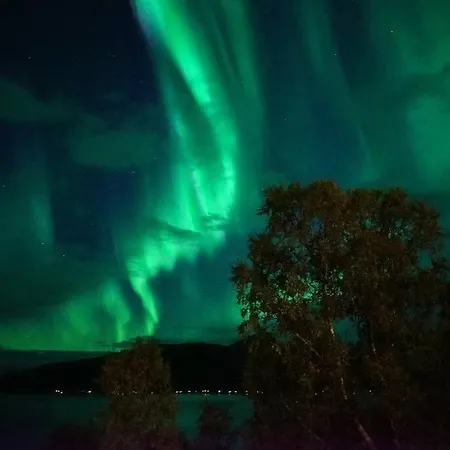 Apartment Northern Lights Nordkjosbotn