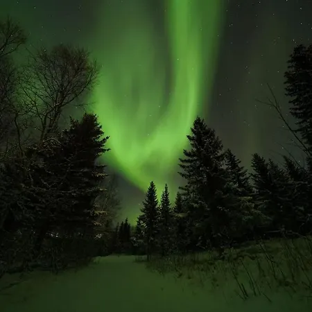Northern Lights Nordkjosbotn
