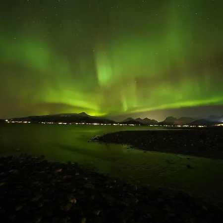 Northern Lights Apartment Nordkjosbotn