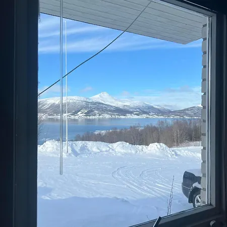 Northern Lights