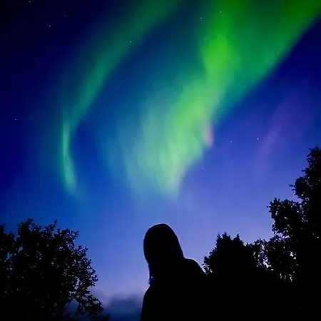 Northern Lights *