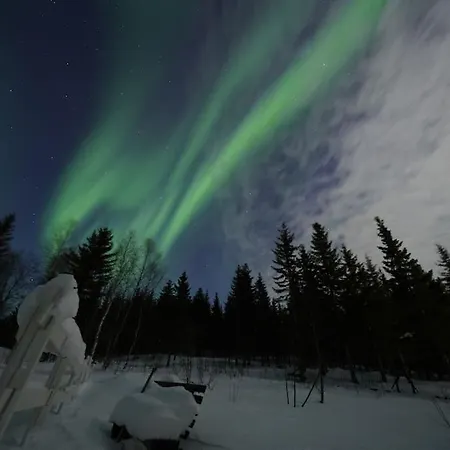 Northern Lights