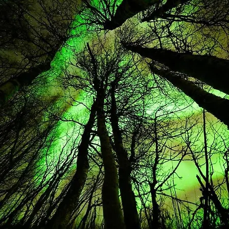 Northern Lights Apartment *
